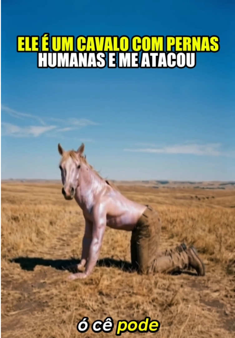 @felpzoficial