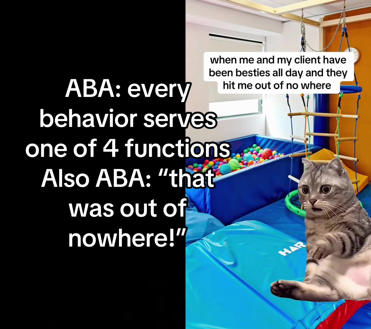 @ASD/ developmental therapist