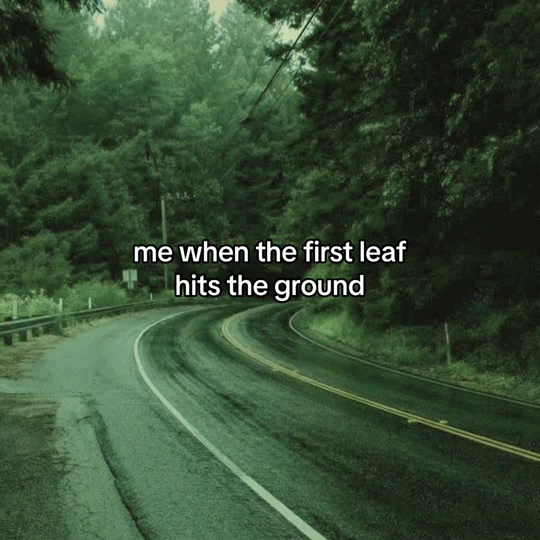 @your playlist aesthetics