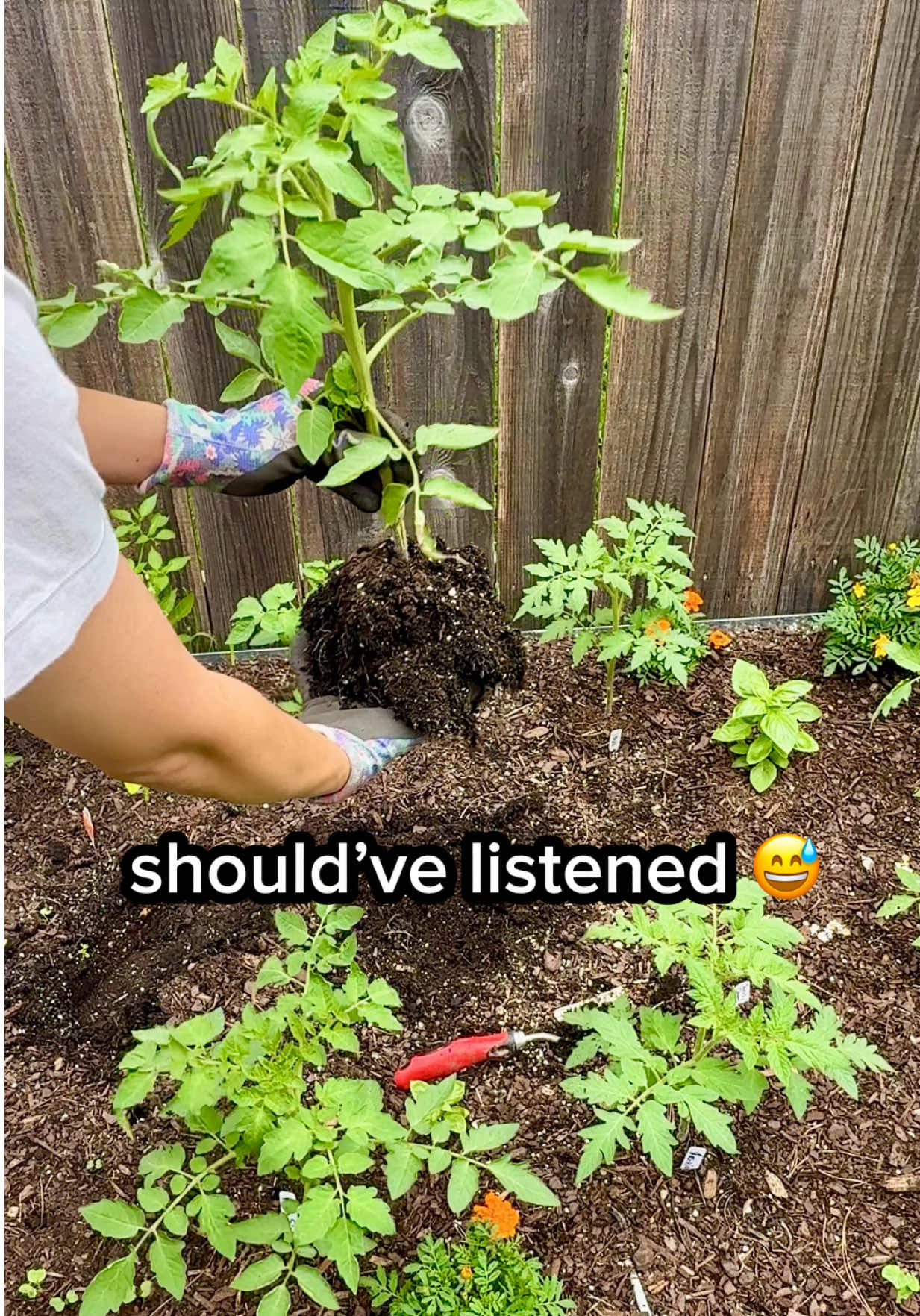 @Sara&rsquo;s Bites 🌱