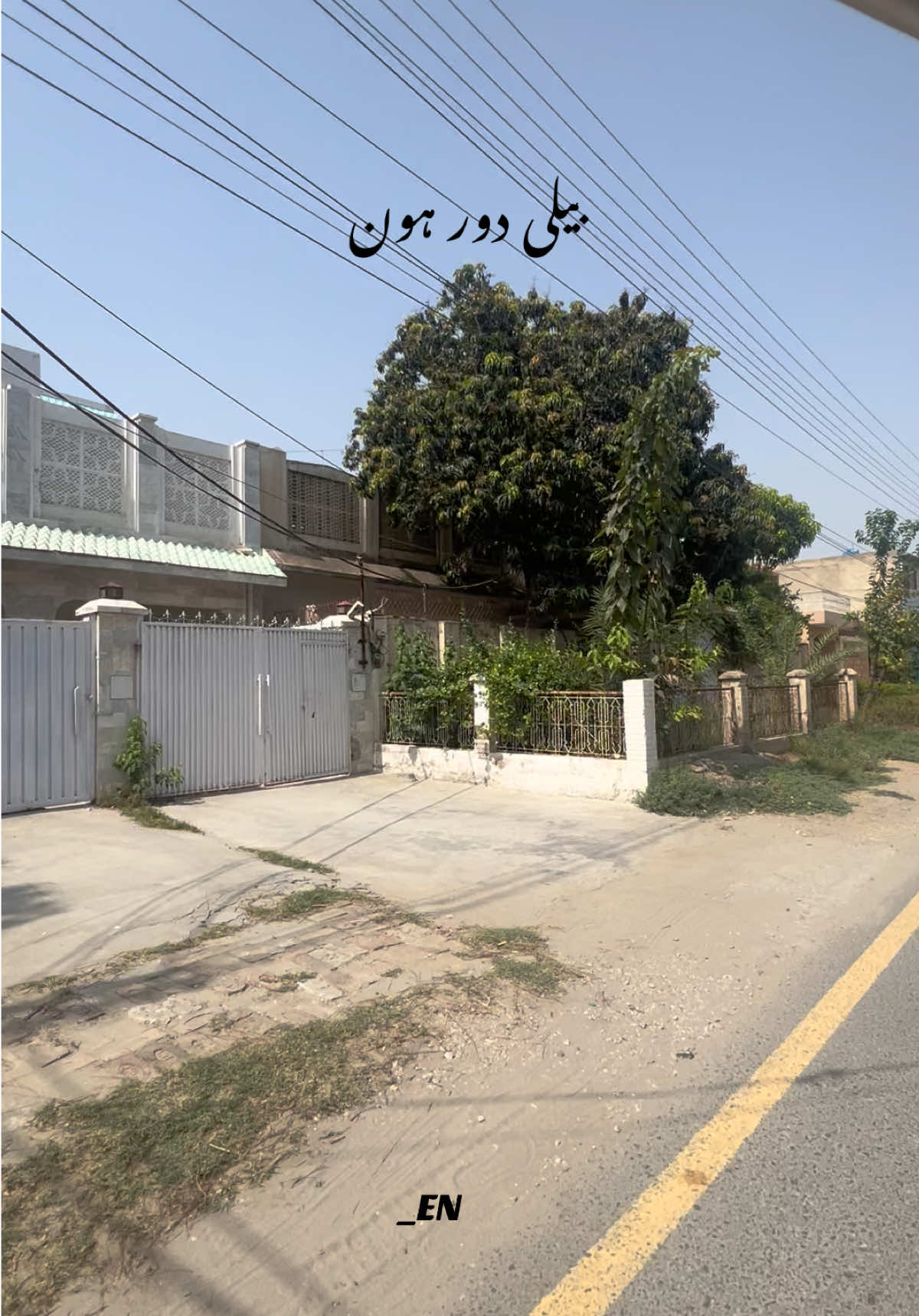 @Eman Niazi