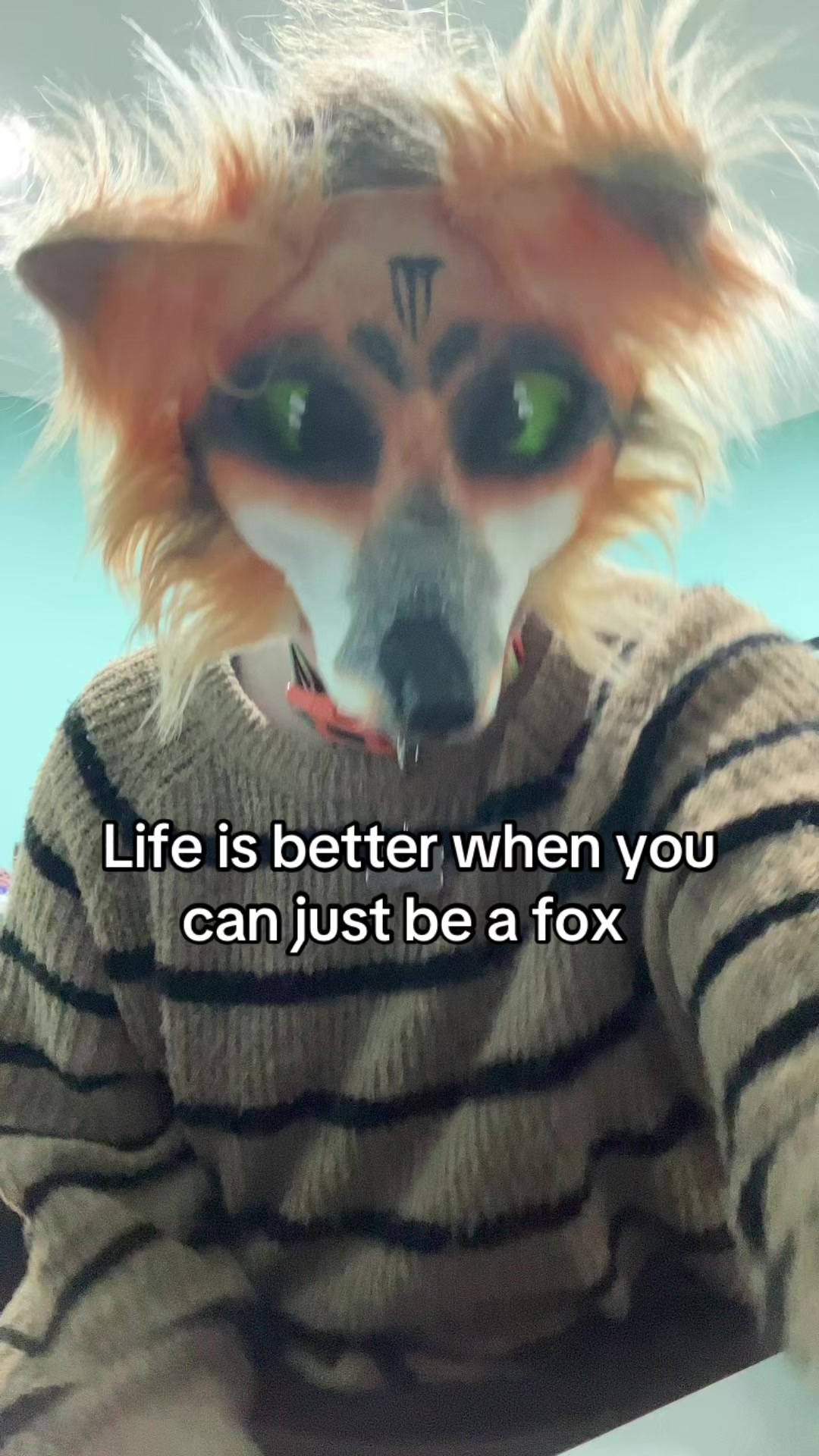 @Bryn 🦊