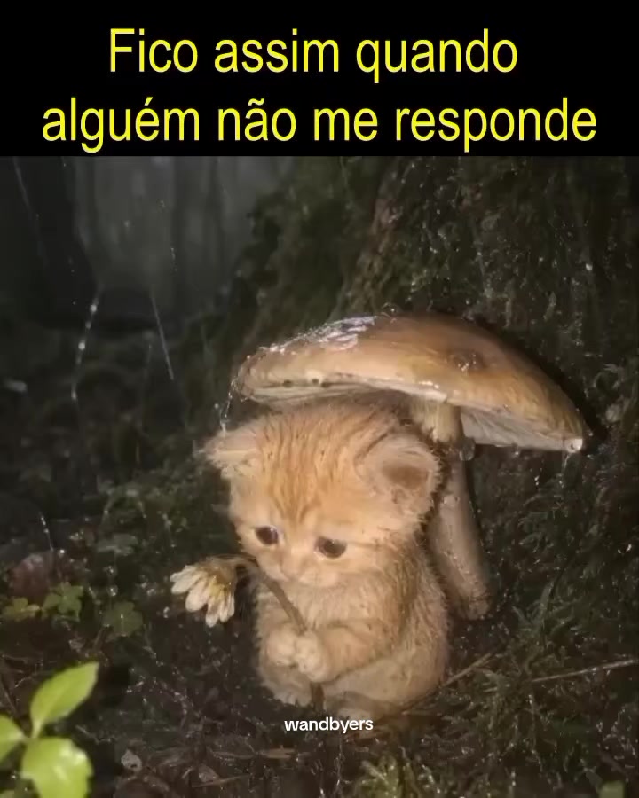 @wandbyers