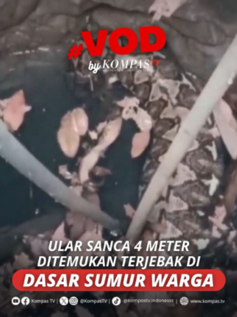 @KompasTV