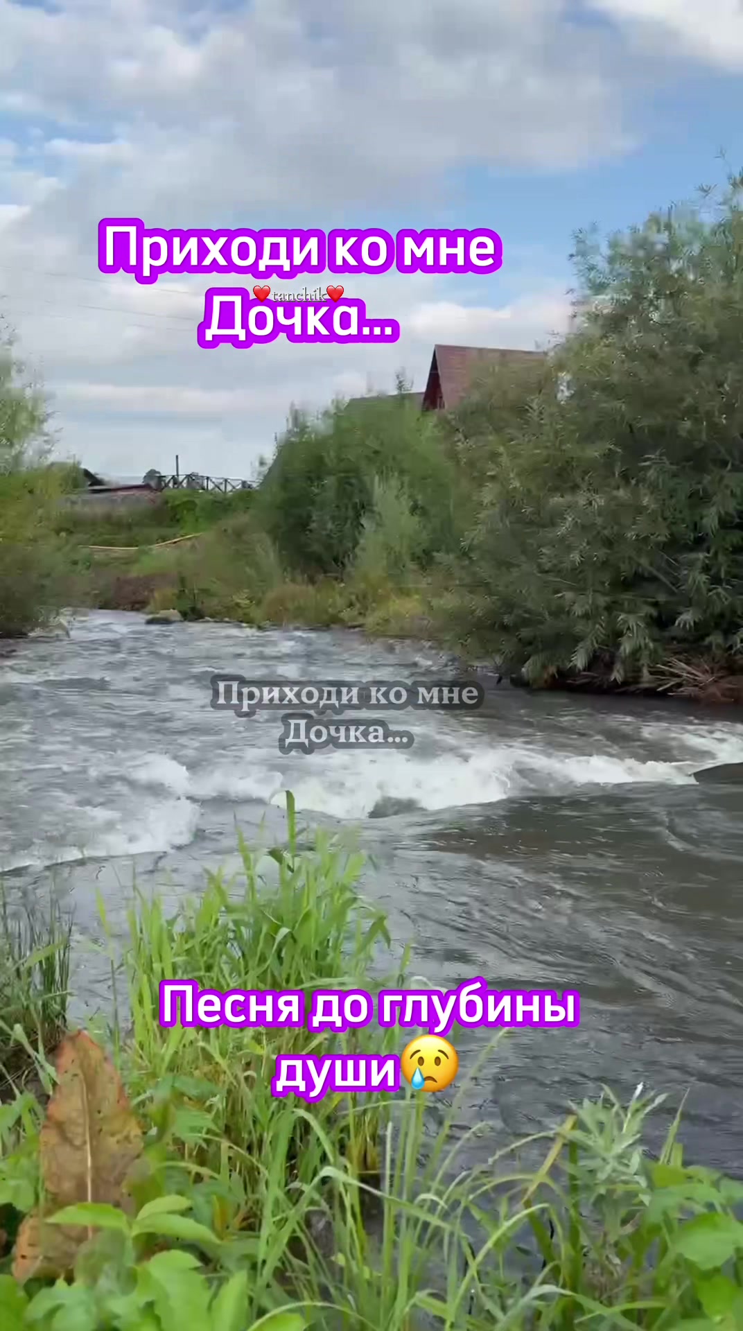 @♥️Tanchik♥️