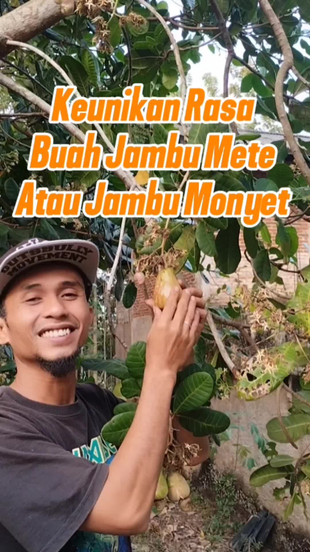 @Bukit Farming