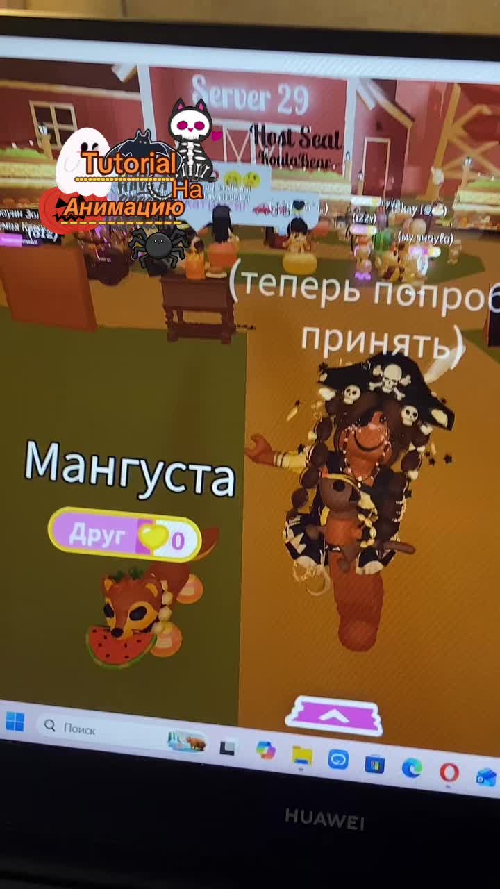 @||chipsinka.rbx||🧡
