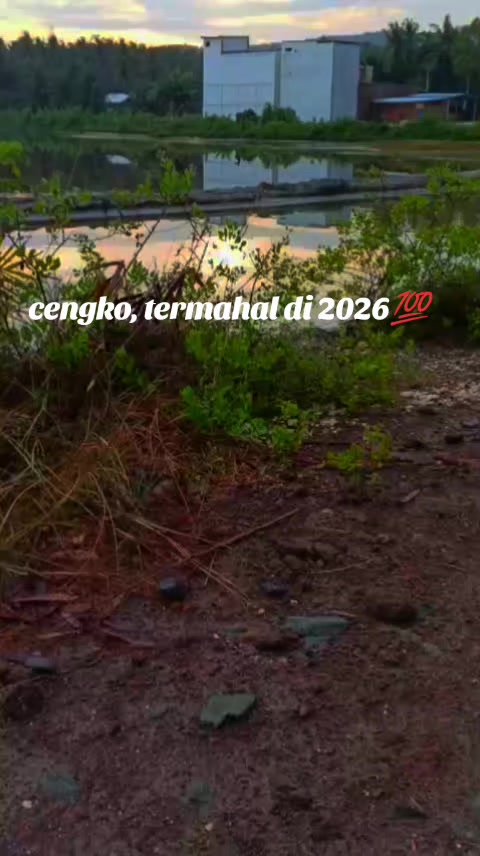 @Mx bocil🚀