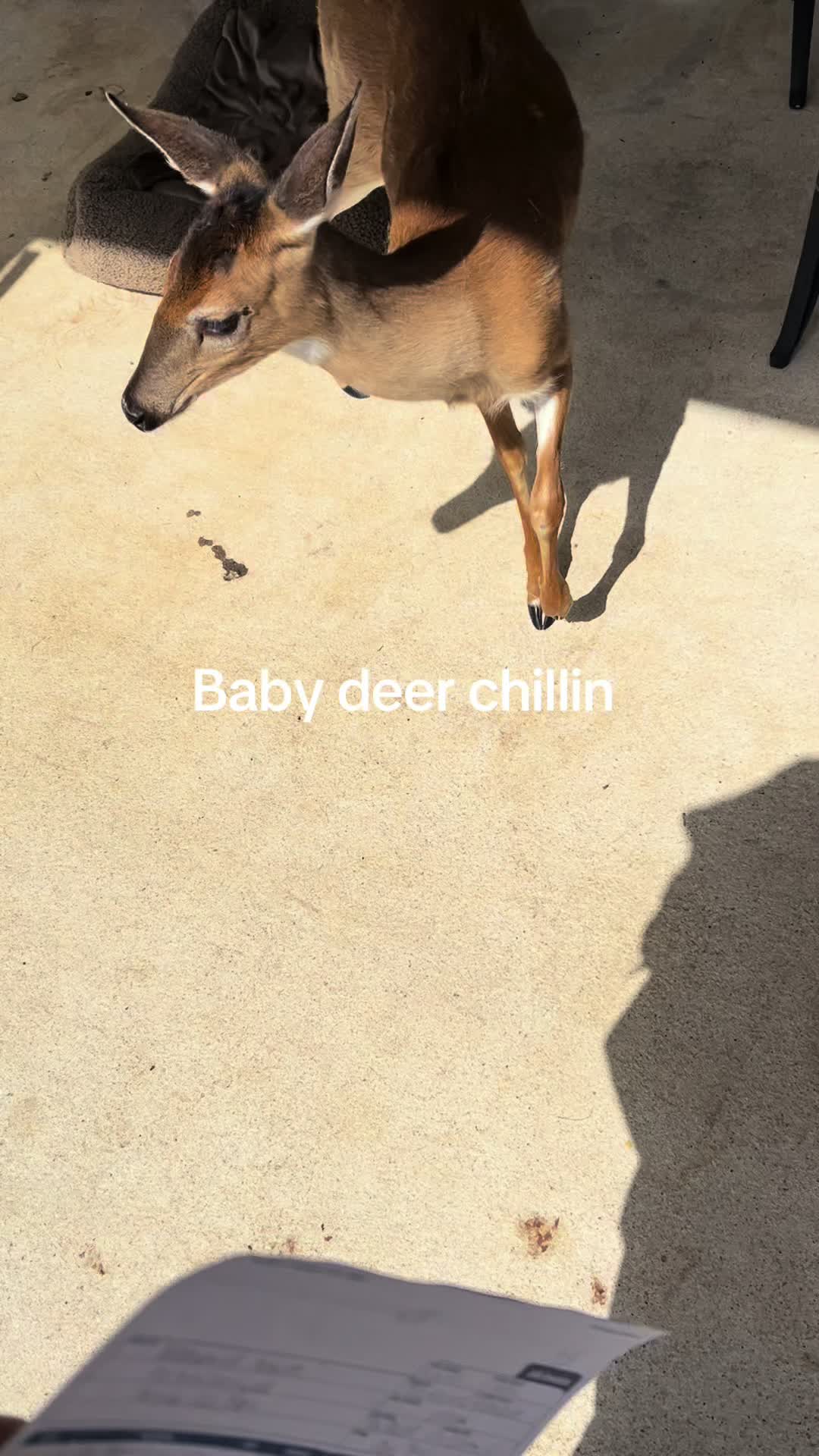 @YbG