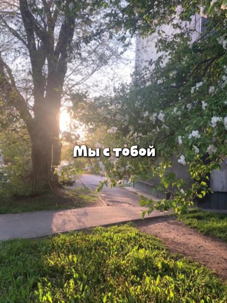 @Звездный прокат