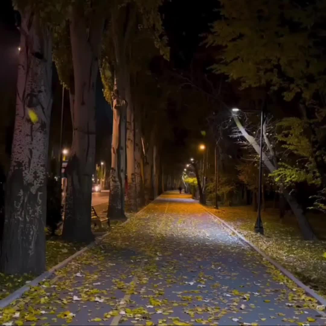 @★彡[ᴠɪʙɪɴɢᴡɪᴛʜ_ᴡᴀꜱɪꜰꜱʜᴀʜᴢᴀᴅ]彡★