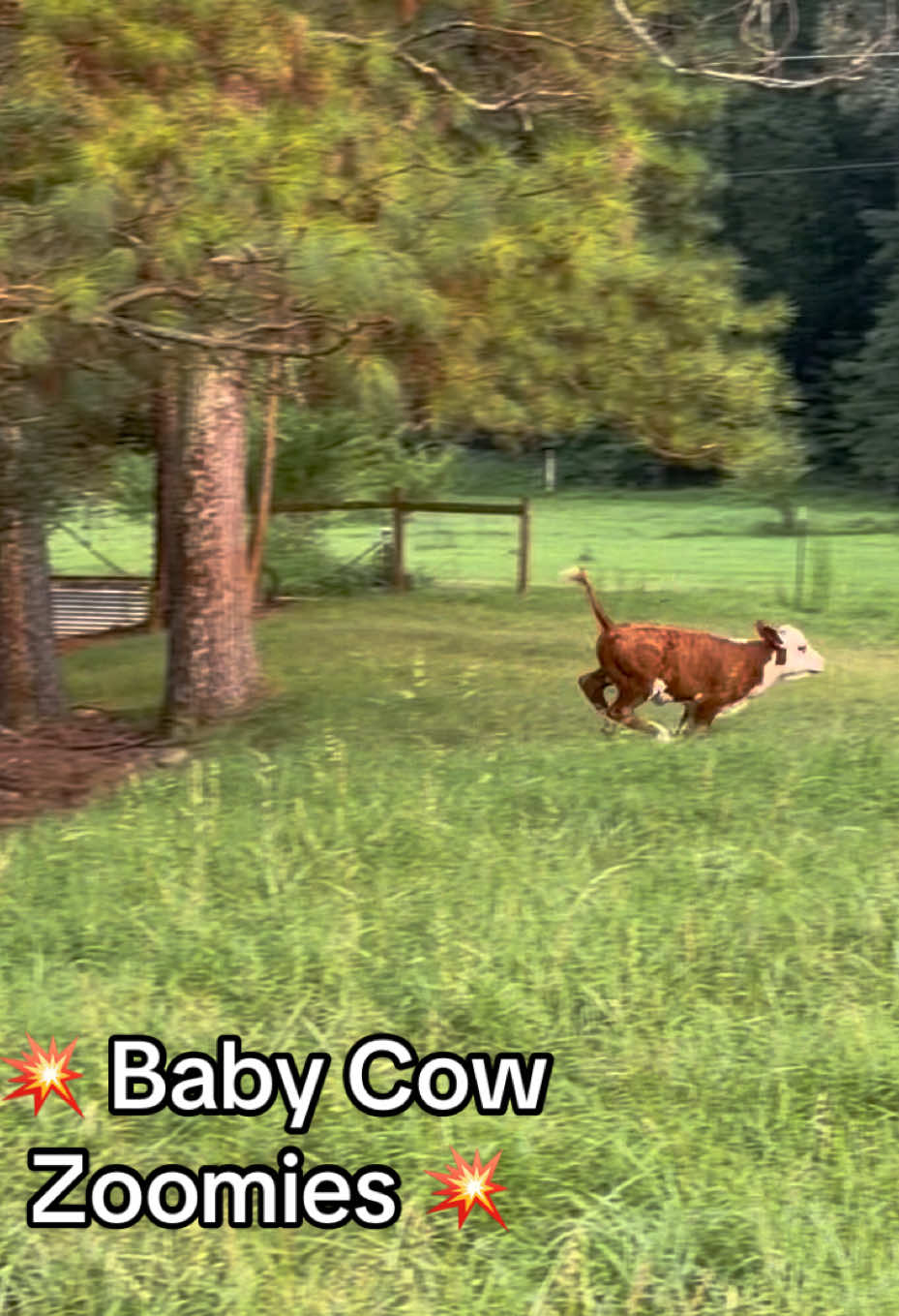 @Georgia Farm Girl