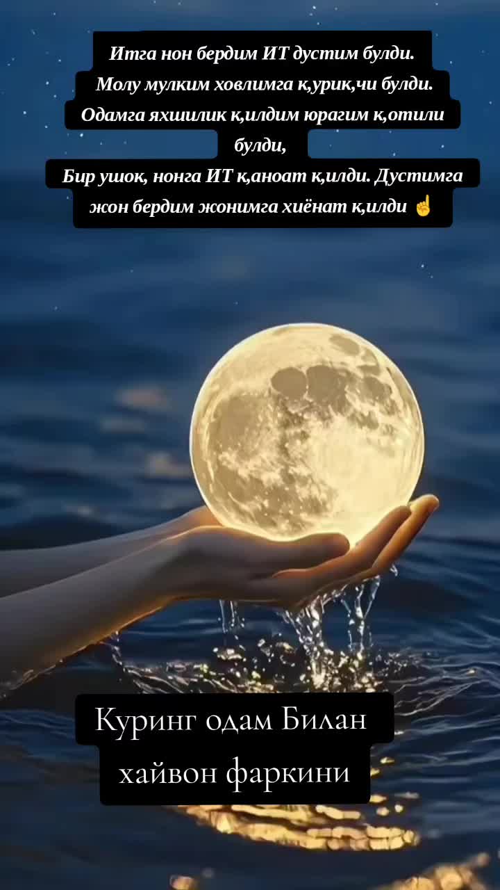 @Динара Хан Хан