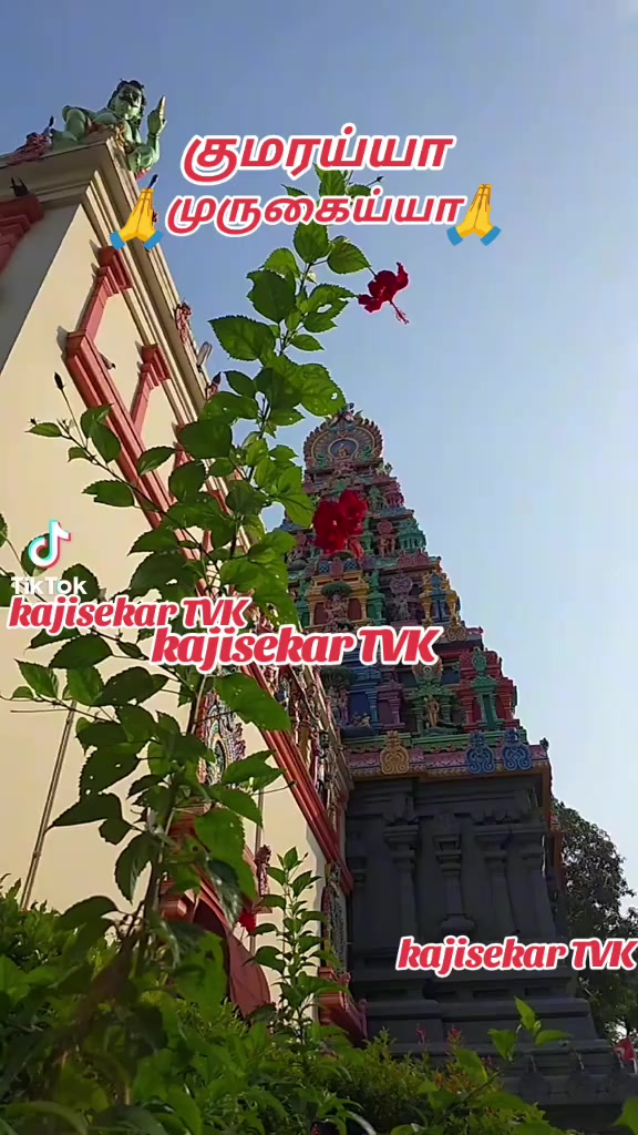 @kaji sekartiktok.com