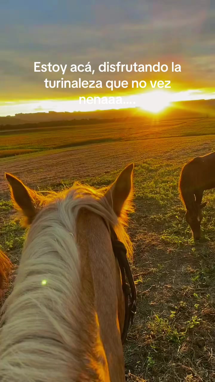 @soomar_thv