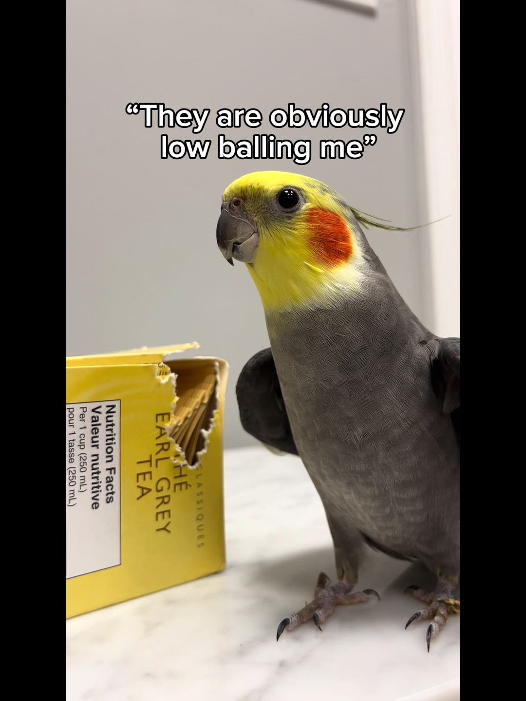 @Emery The Branch Manager