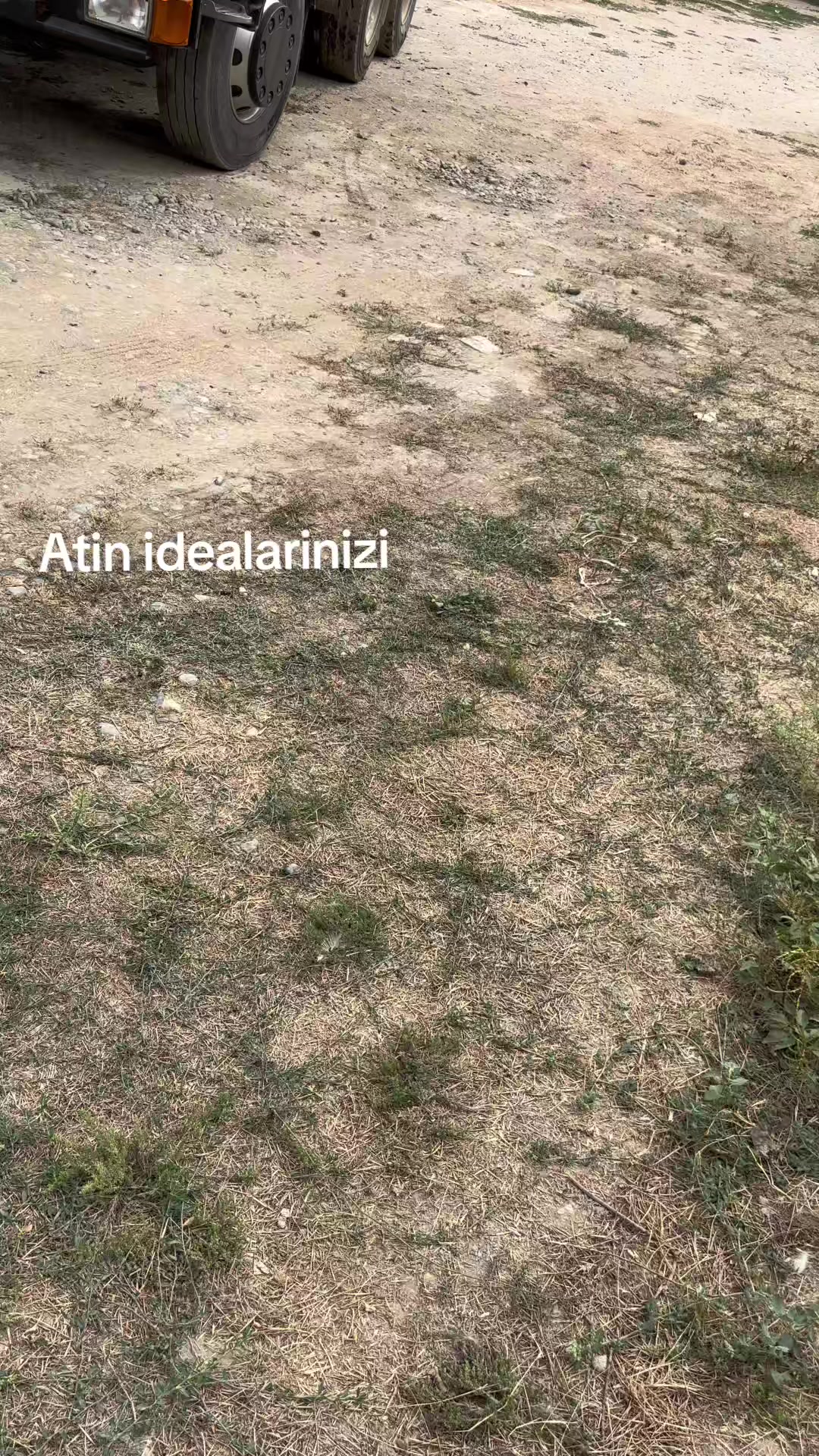 @๐ธ๐๐๐๐ค๐ ๐๐_310
