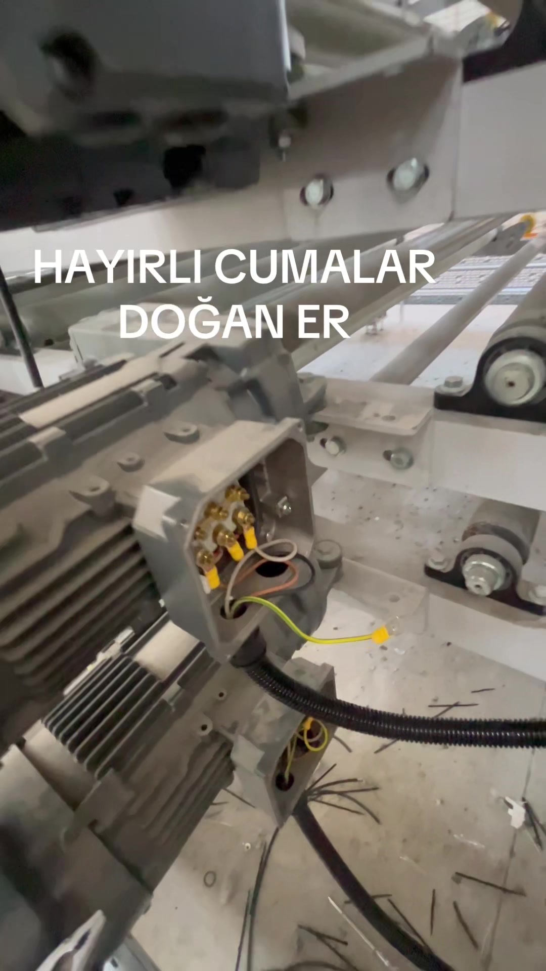 @Doğan Burcu ER