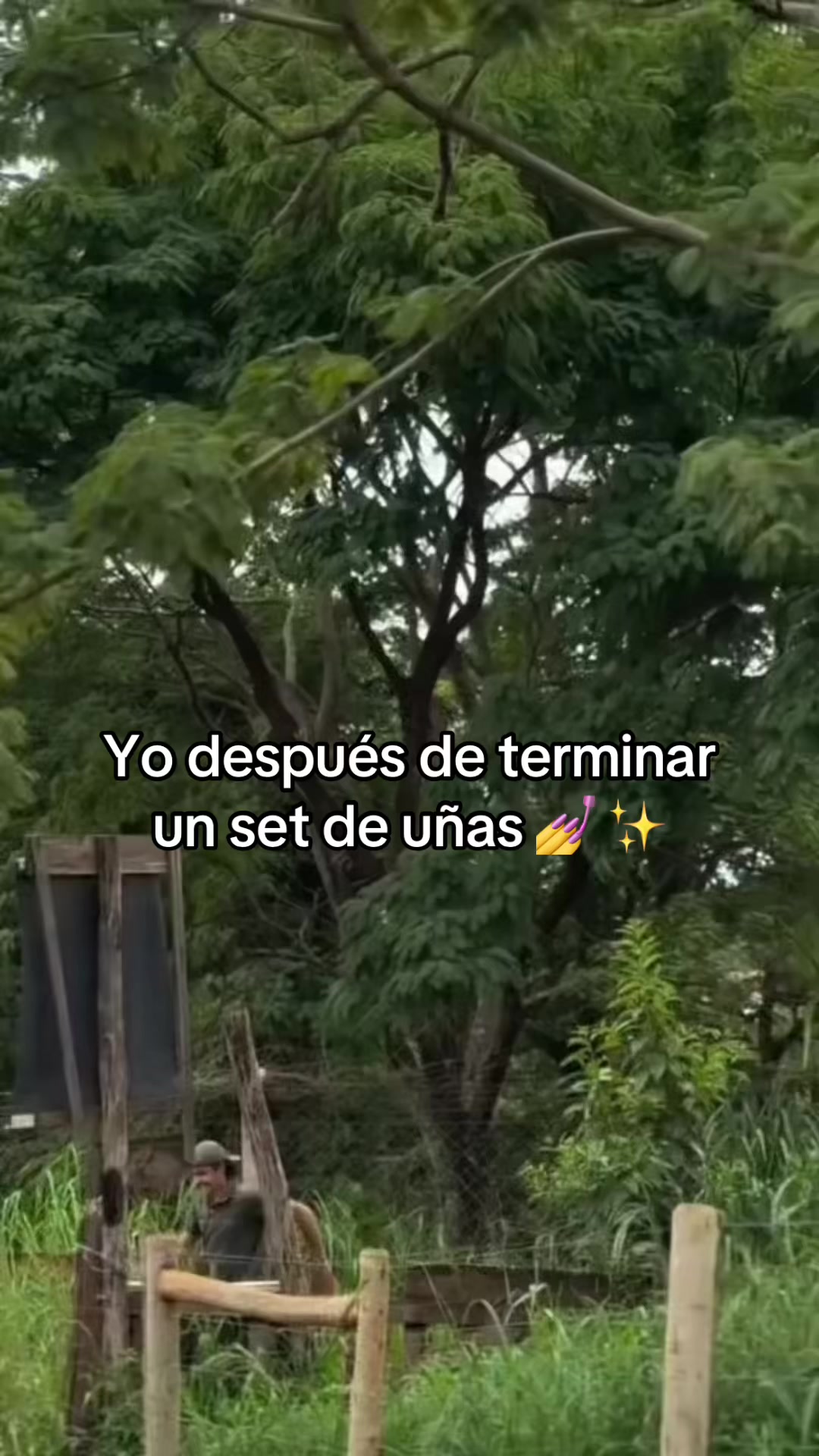 @eydiii 🖤