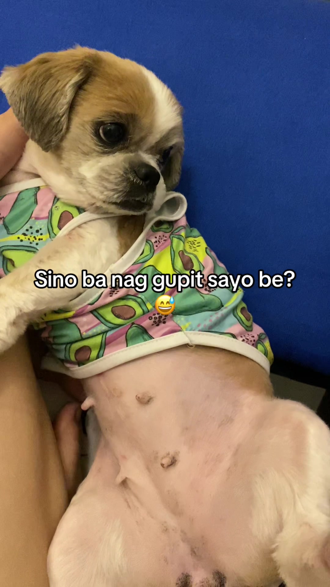 @`MYDäHALU♥️🐾🪬
