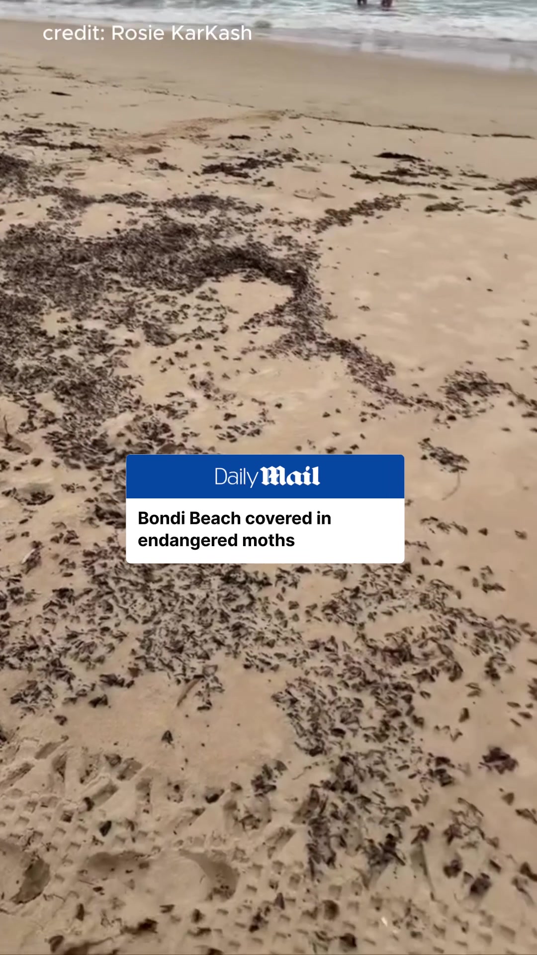 @Daily Mail Australia
