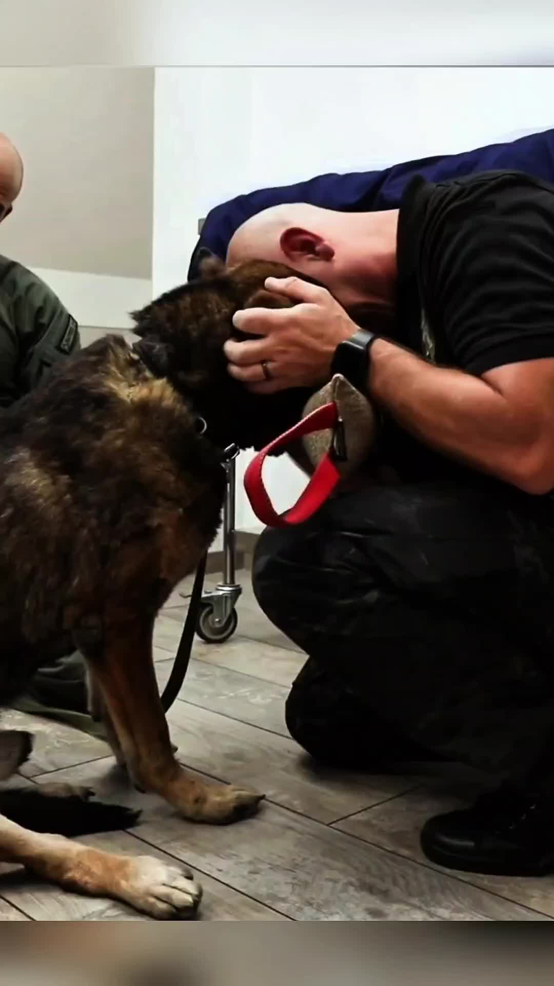 @K9dog Farewell