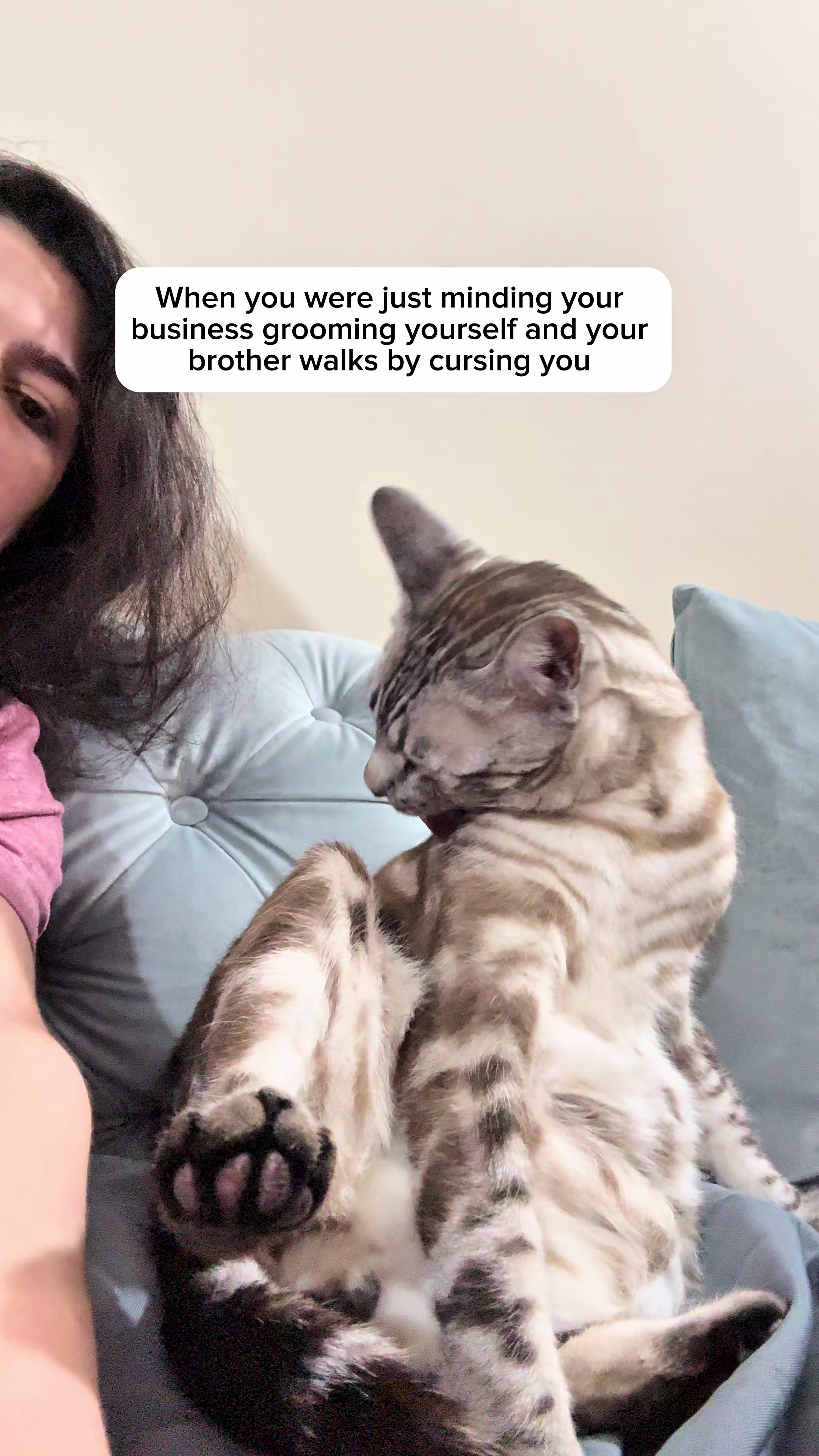 @Three Nawty Cats