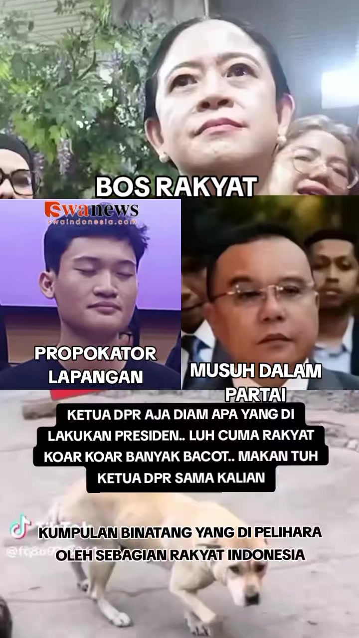@๐ฆ
๐๐๐๐ ๐๐๐๐ ๐ฌ๐ฎ๐ฆ