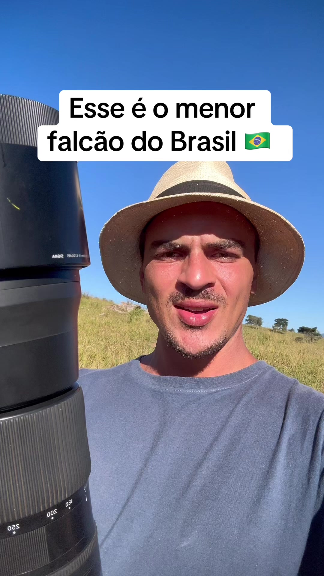 @Vinícius Köhn Pássaros