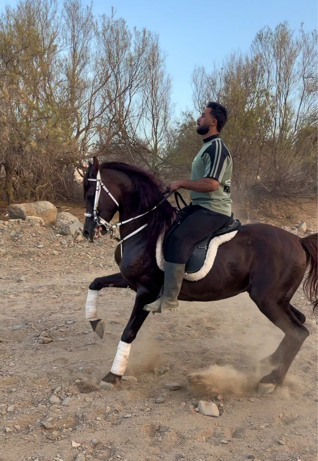@بـاسـل الـوادعـي⭐️🐎