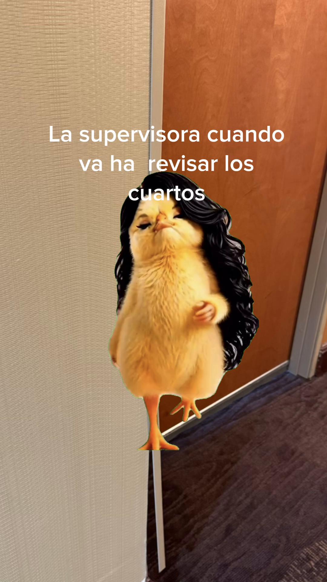 @Yanett Rivera
