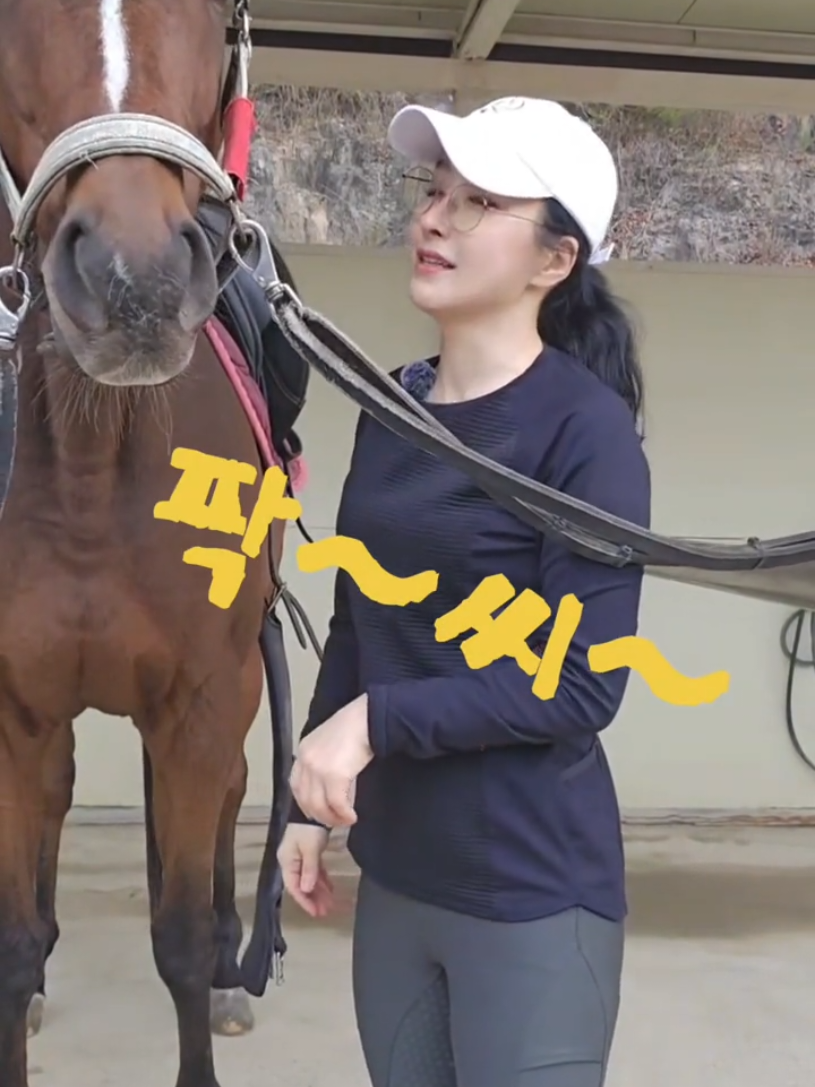 @말타는피부원장🐎김미애🐎