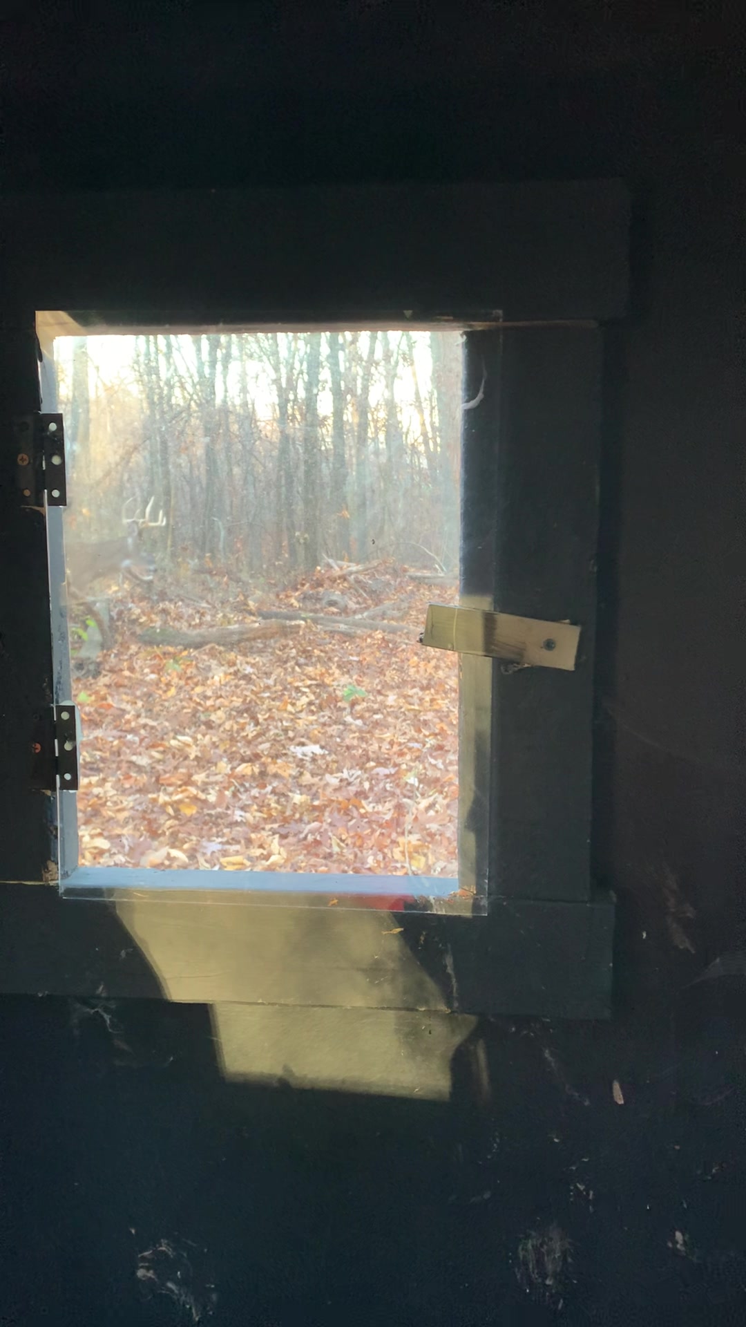 @217bowhunter