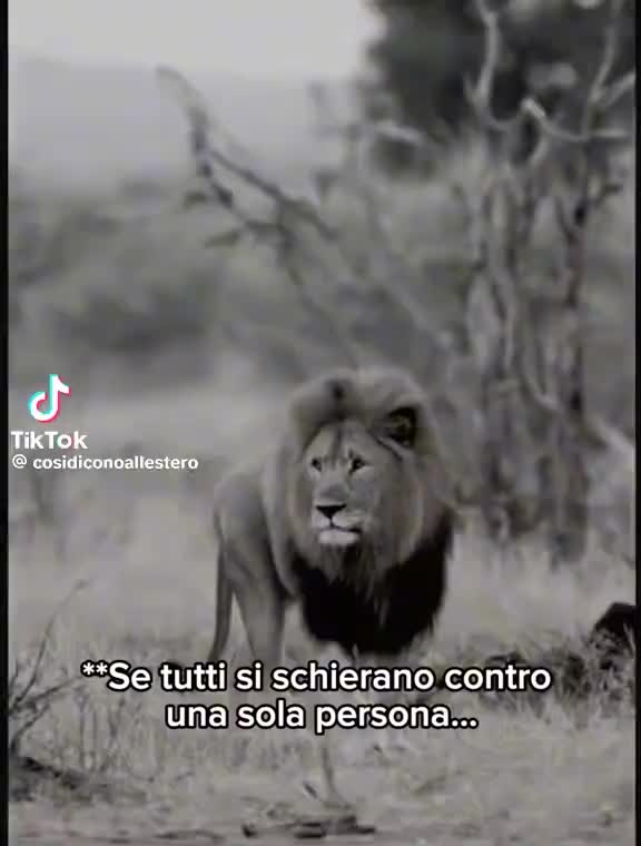 @Maria