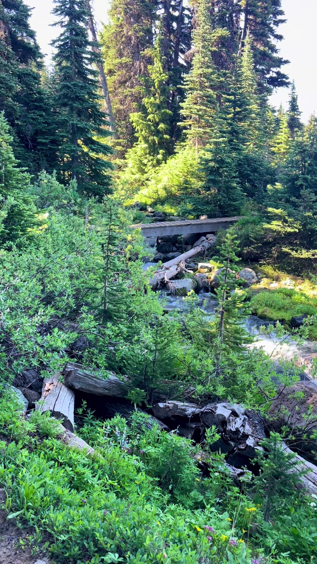 @Experience hiking in Canada