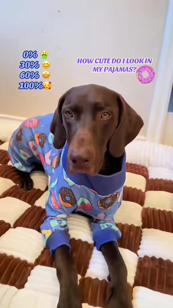 @Rocky_and_mom 🐾❤️🐶
