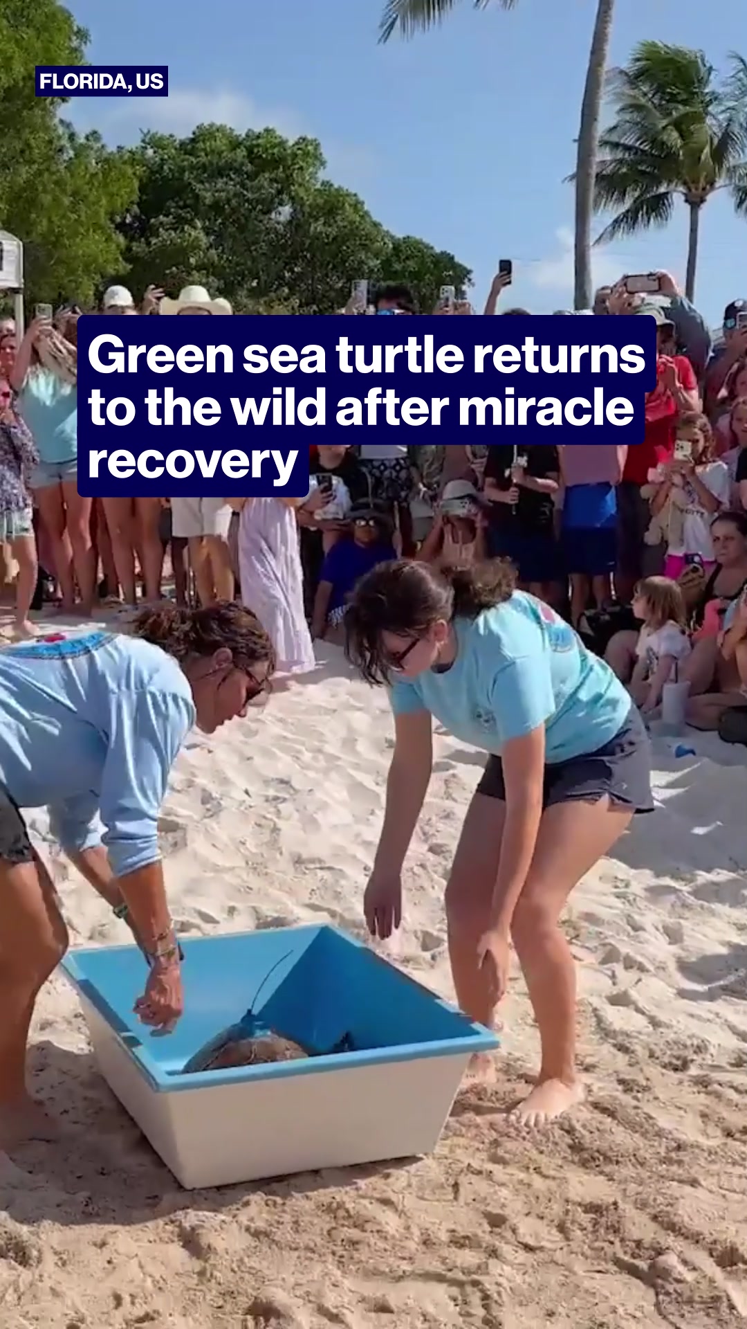 @TheProjectTV