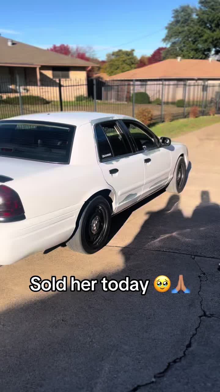 @Bleachedvic