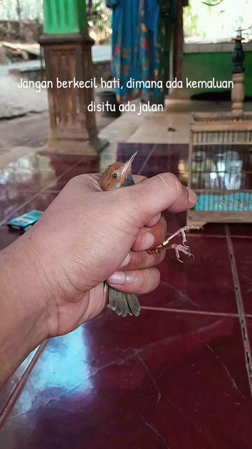 @KAPTEN