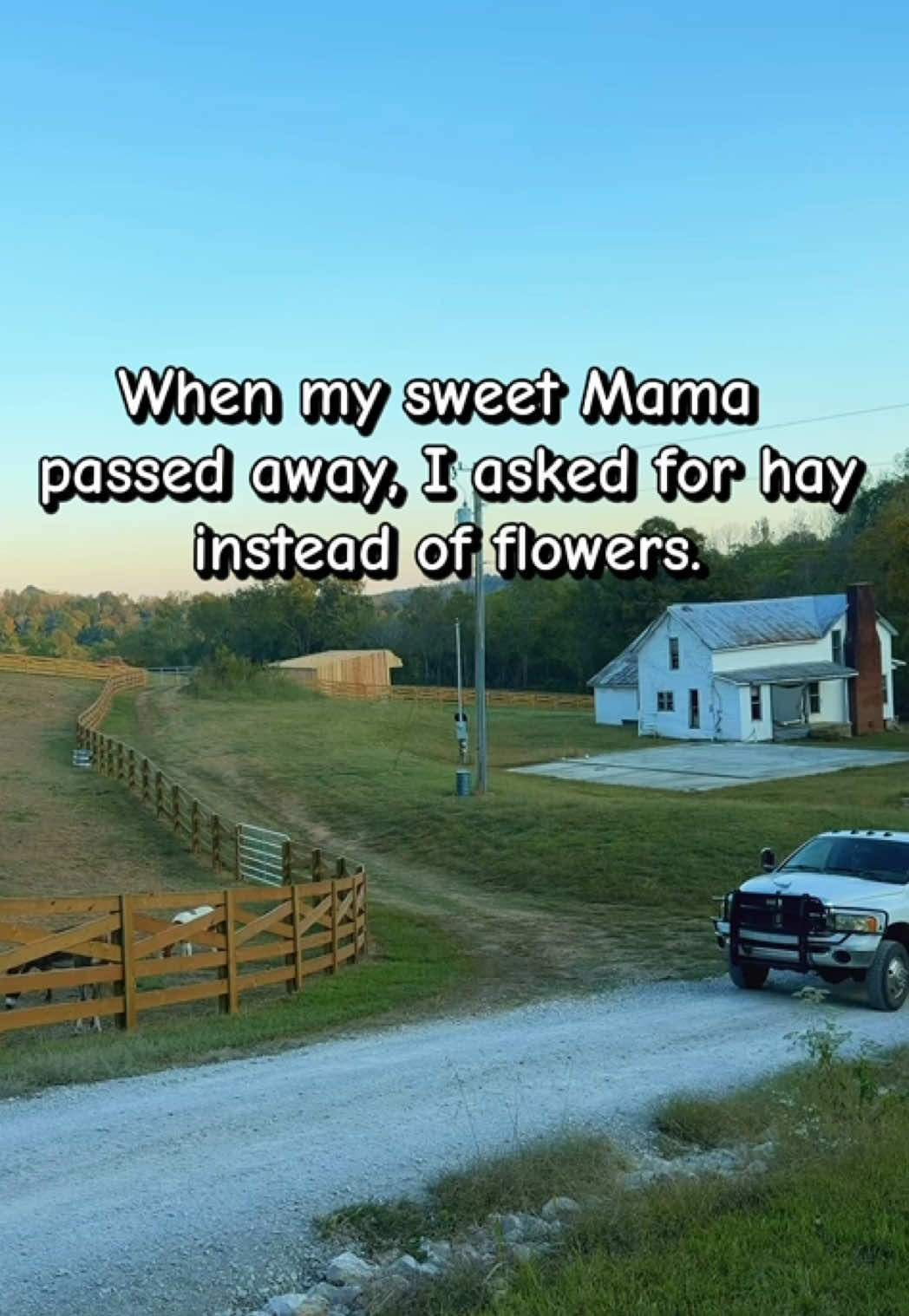 @Our Simple Homestead