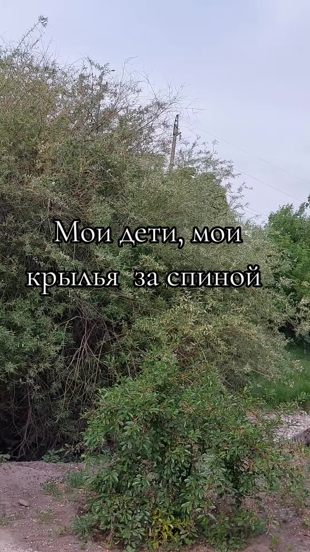 @Венера