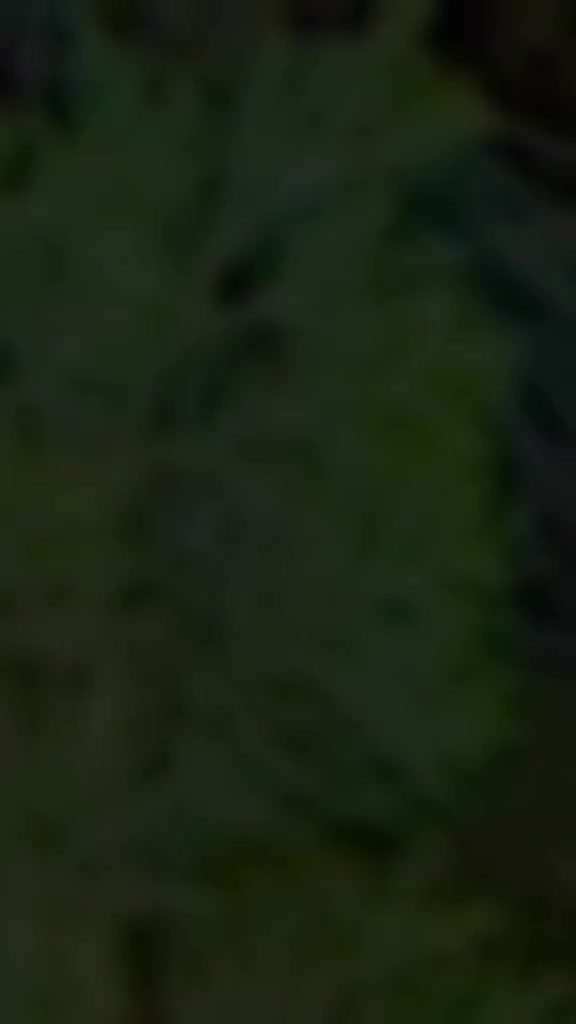 @ItxUsama