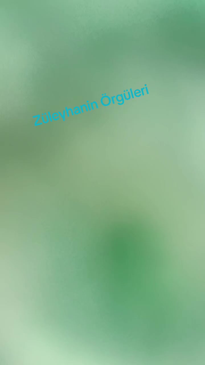 @Z&uuml;leyhanın &Ouml;rg&uuml;leri
