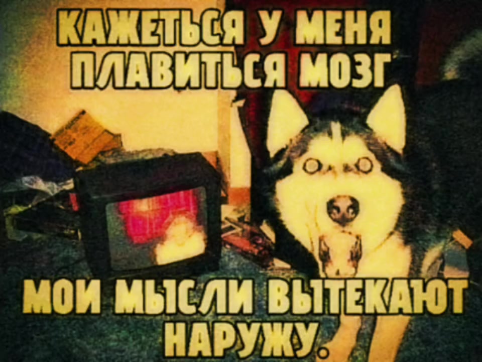 @Hund Von Togliatti.