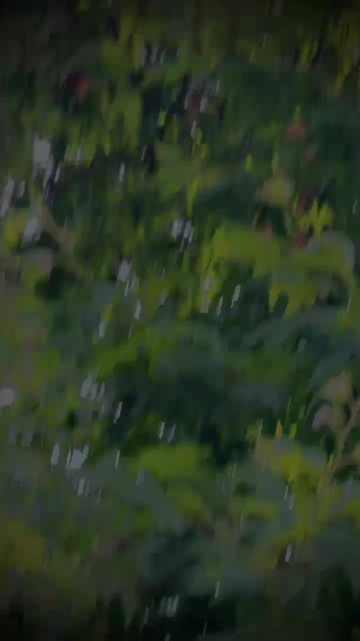 @raja afzal23