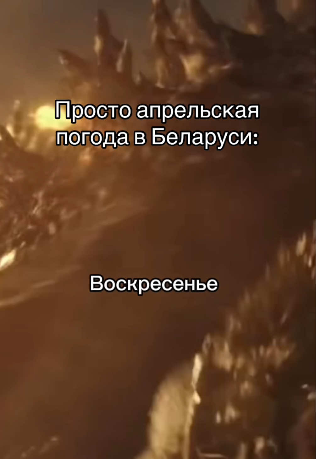 @Aviasales Беларусь