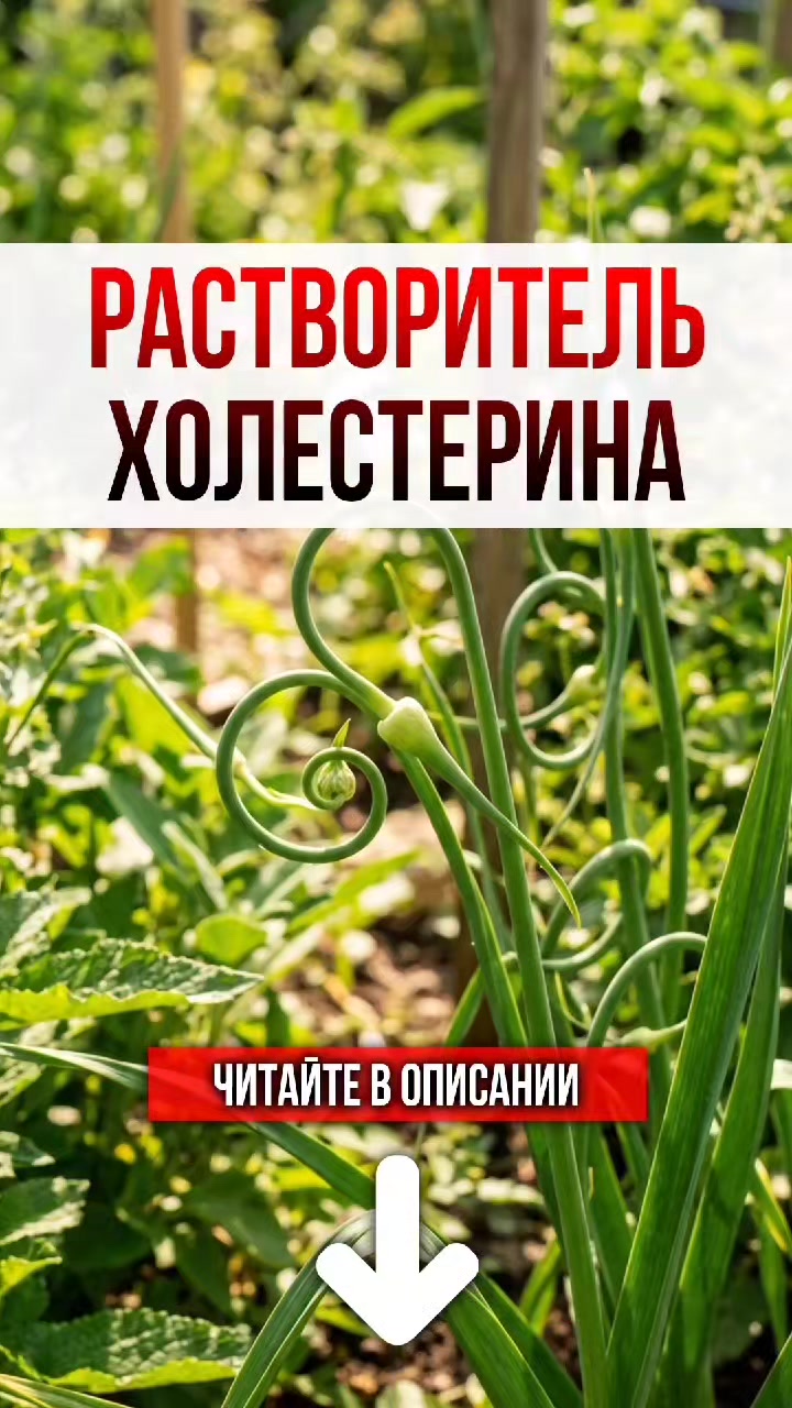 @ЗОЖнавигатор