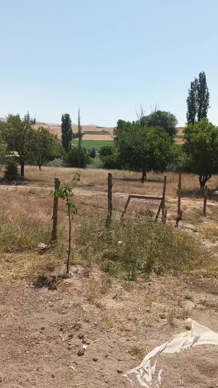 @zeynep. sakman