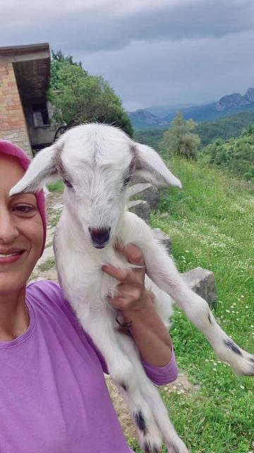 @yörük 07