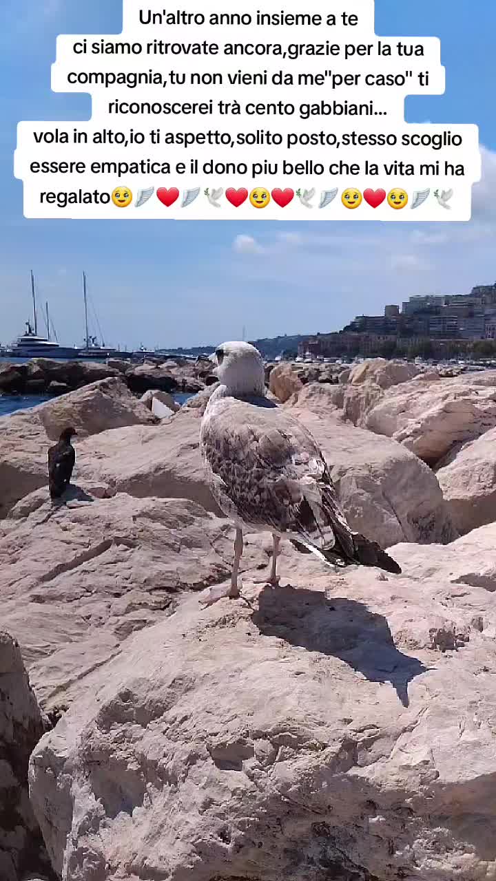 @Loredana♈️ Fioretti🌻🌞🐾🐶